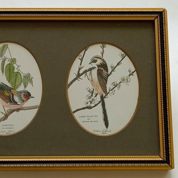 VTG John Morland Birds Hand Colored Glastonbury Print Framed Made in England - Picture 9 of 9